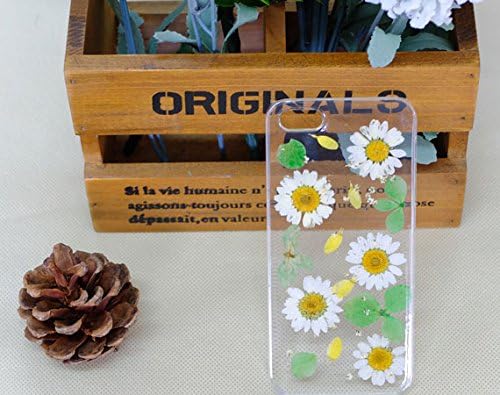 Real Flowers Phone Case for Iphone 5c Case