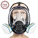 Trudsafe Complete Suit 6800 Reusable Full Face Respirator for Painting, Polishing, Welding and Dust, 2 Kinds of Connectors, Gas Cover Respirator with Organic Vapor Filter