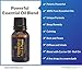 Sleep Essential Oil blend - 100% Therapeutic Grade, Undiluted, Natural Deep Slumber Rest and Recovery, Free Roll On Bottle and eBook - full 15ml. Rest & Peace by HopeWind Health - Aromatherapy quality