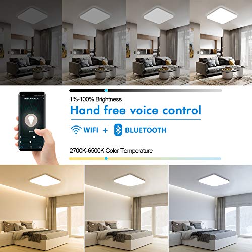 Oeegoo Smart Ceiling Light LED Flush Mount, Compatible with App Control Alexa Google Home, 15W Dimmable Front RGB Color… - Image 3