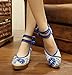 AvaCostume Women's Embroidery Strappy Round Toe Platform Wedges Fashion 38 Blue