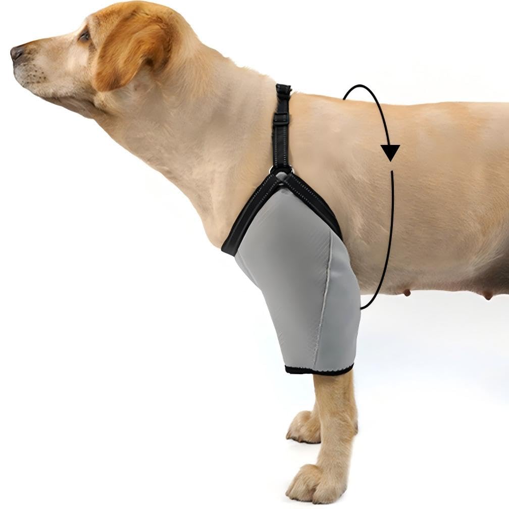Photo 1 of COODEO Dog Elbow Protector (Grey, L)