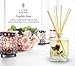 Luxe Home English Rose Fragrance Reed Diffuser Sticks Set | Beautiful Home Decor Scented Room Diffuser | Nice Gift for Mom, Wife, Grandma, Aunt or Co-Worker