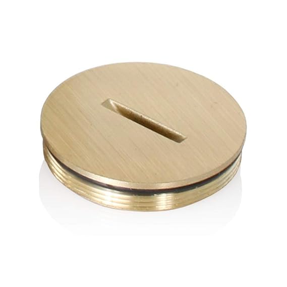 Leviton 25249CAP Replacement Screw Cap with ORing for Duplex Floor