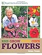 Grow Your Own Flowers