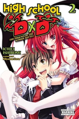 Amazon.com: High School DxD, Vol. 12 (light novel): Supplementary