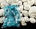 Nautical Crush Trading Sea Shells - White Real Mixed Beach Seashells (1lb) with Sea Glass Chips - Shells for Crafts - Ocean Decor - Beach Party Decorations - Seashell Decor - Large Shells Crafts