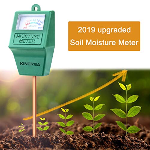 Top 10 Water Meters For Plants of 2020 No Place Called Home