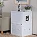 Petsfit 21x25x35 Inches White Double-Decker Pet House Litter Box Enclosure Night Stand Painted with Non-Toxic with Latch Holding The Door 21