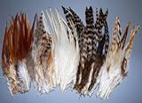 100-Pcs-Mixed-Saddle--Coque-Plumage-Feathers-510