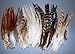 100+ Pcs Mixed Saddle & Coque Plumage Feathers 5
