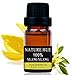 Nature Hue - Ylang Ylang Essential Oil 10 ml, 100% Pure Therapeutic Grade, Undiluted