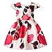Kidscool Little Girls Sleeveless Flower Print Necklace Pleated Princess Dress, Beige, 3T