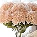 Youngman 5 Heads Hydrangea Beautiful Artificial Flower Bunch Bouquet Home Wedding Decor (Champagne)