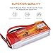 Floureon 3S Lipo Battery 25C 11.1V 2200mAh Li-Polymer Lipo RC Battery Pack with XT60 Plug Connector for RC Airplane RC Helicopter RC Car RC Truck RC Boat Quadcopter