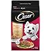 CESAR Small Breed Dry Dog Food Porterhouse Flavor and Spring Vegetables Garnish Dog Kibble 2.7 lb. Bag