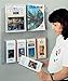 Displays2go Hanging Magazine Racks, Wall Mounting Brochure Holders, Adjustable Dividers, Clear (RP4CLR)