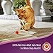 9Lives Protein Plus Dry Cat Food Bonus Bag, 13.2Lb