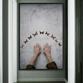 signwin Framed Canvas Wall Art Butterflies Butterfly Colorful...