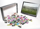 Photo Jigsaw Puzzle of Irrigation in countryside near San Quirico d Orcia, Siena, Tuscany, Italy,