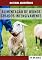 Livro ALIMENTAÇÃO DE OVINOS CRIADOS INTENSIVAMENTE