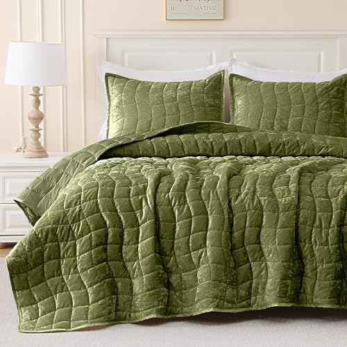 DOWNCOOL 3 Pieces Velvet Quilt Set Queen Size