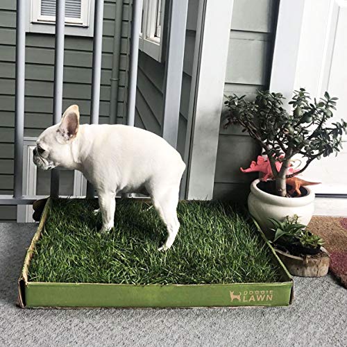 real grass pee pad