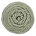 RED HEART Super Saver Yarn, Frosty Green