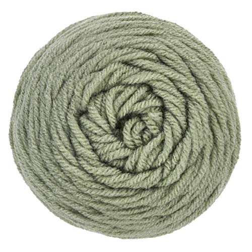 RED HEART Super Saver Yarn, Frosty Green Pricepulse