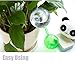Fashionclubs Plant Watering Globes Small Plant Automatic Self Watering PVC Bulbs Ball,Pack of 4 (Clear)
