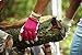 Women's Hybrid Leather Palm Garden Work Gloves (Wells Lamont 1042M), Medium, Lavender Frost, Pinkberry, Watermint Green, Periwinkle Blue
