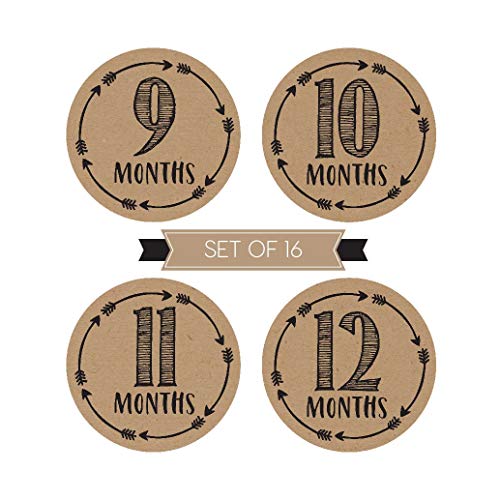 4 Milestone+Stickers+Monthly+Scrapbook+Registry