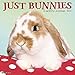 Just Bunnies 2019 Wall Calendar