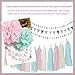 Gender Reveal Party Supplies Baby Shower Decorations Baby Blue Pink Cream Gold Tissue Paper Pom Pom Flowers Triangle Banner Paper Tassel Garland Circle Garland for Birthday/Party/Nursery Decorations