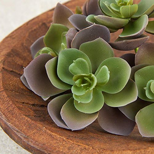 Package of 6 Green and Burgundy Hen and Chick Artificial Succulent Picks for Floral Arranging, Garden Creation and Crafting