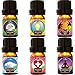 Zen Breeze Essential Oils Blends - Top 6 Synergy Essential Oil Gift Set for Diffusers - 100% Pure and Natural Therapeutic Grade for Aromatherapy - Sleep, Focus, Breathe, Health, Stress Relief, and Rel