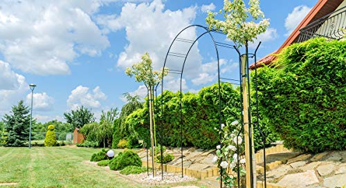 KADAX Rosenbogen, Gartenbogen für Kletterpflanzen, Rosen, Garten, Pergola, pulverbeschichteter Stahl, Gartenlaube, wetterfest, Rankhilfe, Torbogen, Spalier, Deko, Schwarz (40 x 150 x 256 cm) – Bild 8