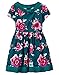 Gymboree Girls' Toddler Graphic Print Dressy Dress