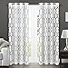 Exclusive Home Curtains Rio Burnout Sheer Grommet Top Window Curtain Panel Pair, Winter White, 54x84