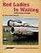 Red Ladies in Waiting, Soviet Aircraft in Storage - Aircraft Specials series (6065) by 