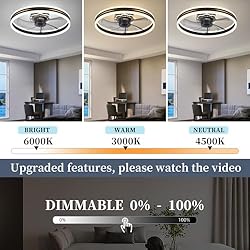 Fszdorj Ceiling Fan with Light, 2024 Upgraded