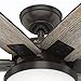 Hunter Fan 64 inch Casual Nobel Bronze Indoor Ceiling Fan with Light Kit and Remote Control (Renewed)