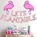 Lets Flamingle Balloons Banner Rose Gold | Flamingo Bachelorette Party Decorations | Lets Flamingle Party Supplies