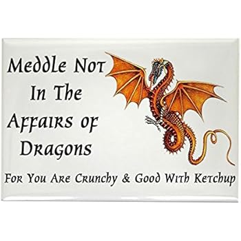 CafePress Meddle Not In The Affairs Of Dragons. Rectangle Rectangle Magnet, 2