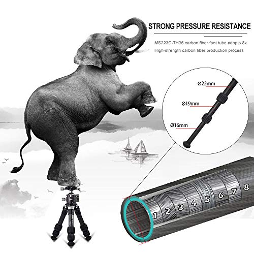 MENGS TS-223C Carbon Stativ Arca-Swiss kompatibel, Kompakt Leichtes Stativ inkl BH-36 Panorama Kugelkopf u Stativtasche – Bild 4