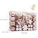 AUXO-FUN 73ct Assorted shatterproof Christmas Ornaments Luxury Collection Set in Reusable Hand-held Gift Package for Christmas Tree Decoration (Champagne)