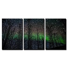 3 Piece Canvas Wall Art - Northern Lights Aurora Borealis - Modern Home Art Stretched and Framed Ready to Hang - 16"x24"x3 Panels