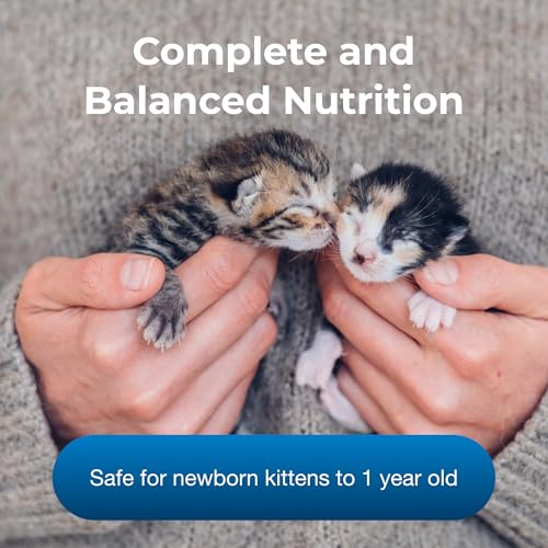 PetAg KMR Kitten Milk Replacer Powder - 12 oz - Powdered Kitten Formula with Prebiotics, Probiotics & Vitamins for Kittens Newborn to 6 Weeks Old - Easy to Digest