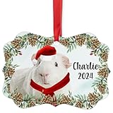 Solid White Guinea Pig Christmas Ornament 2024