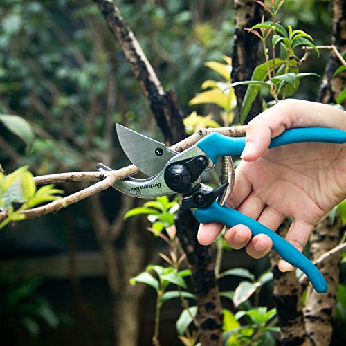 BUTTERFLY LOVE Professional Bypass Pruning Shears, Manual Hand Pruner, Garden Clippers, Tree Trimmers Secateurs (Blue-8 Inches)